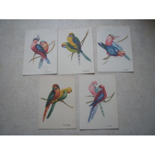 5 Cartes Postales De Perroquets Par Ch. De Casteras