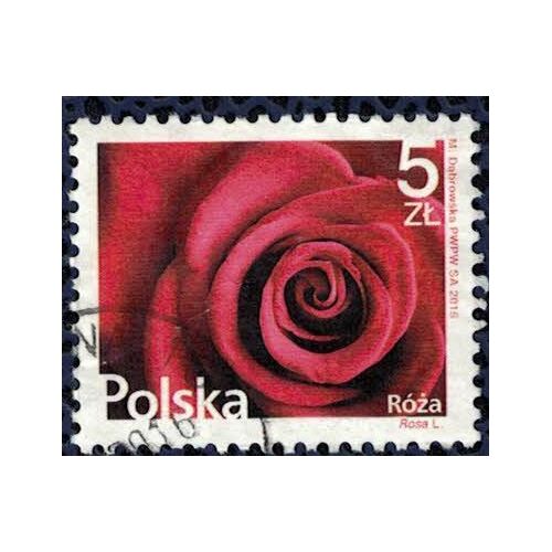Pologne 2015 Oblitéré Rond Used Fleurs Flowers Rose Rouge