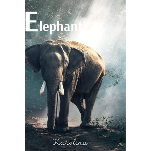 Elephant Animal Notebook: Motivational Notebook, Journal, Diary (110 Pages, Blank, 6 X 9)