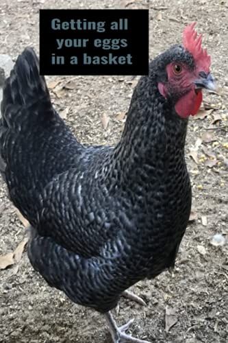 Getting Your Eggs In A Basket: Chicken Composition