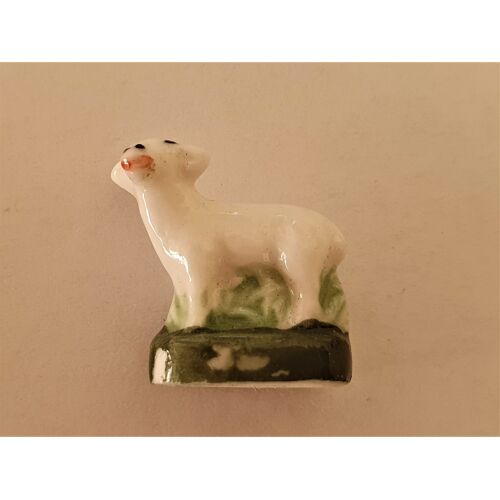 Fève Mouton