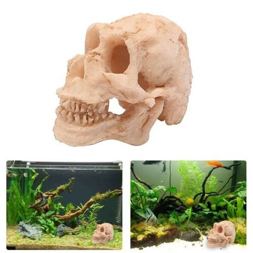 Décoration D'Aquarium, Sculpture De Crâne En Résine, Statue, Modèle De Squelette, Ornements D'Aquarium, Herbe D'Eau, Décor D'Aménagement Paysager
