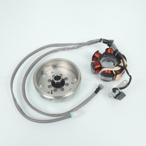 Stator Rotor D Allumage Rms Pour Scooter Piaggio 50 Zip 1996 À 2000 C1100 Neuf