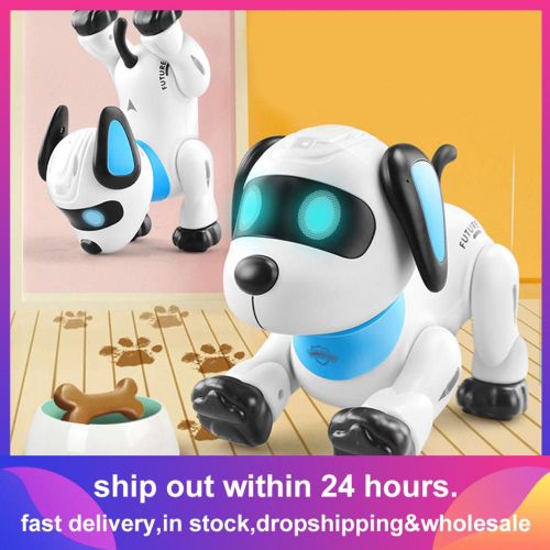 Animaux domestiques électroniques RC Robot chien, télécommande vocale, jouets de musique, jouet pour enfants, cadeau d'anniversaire