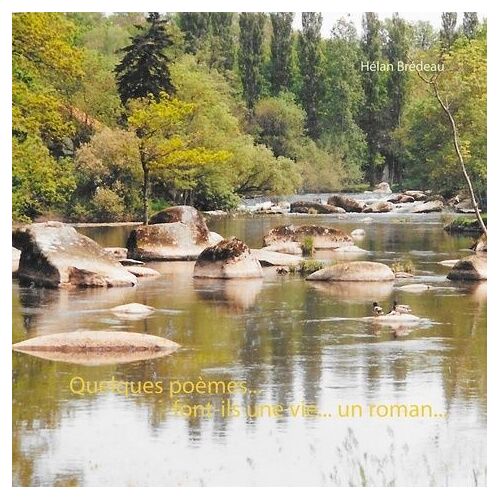 Quelques Poèmes - Font-Ils Une Vie - Un Roman