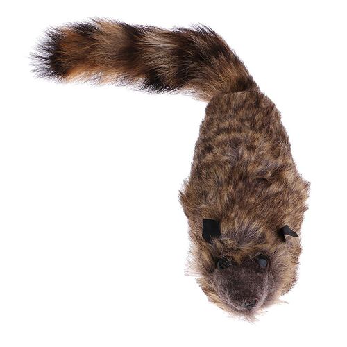 Tours De Magie De Scène Super Robbie Rocky Raton Laveur, Jouets Amusants