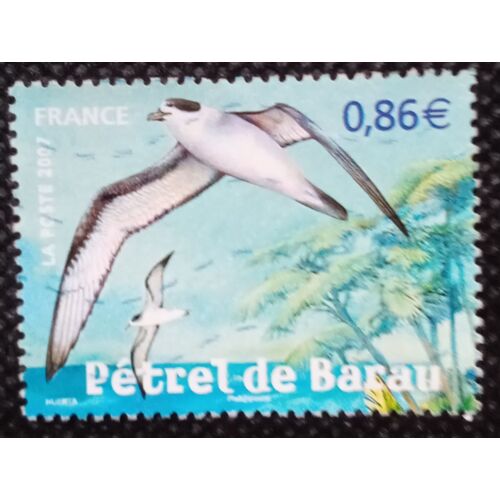 France 2007 Timbre Oblitéré Yt 4036 - Pétrel De Barau