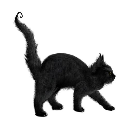 Jouet De Simulation De Chat Noir, 35cm, Pour Halloween