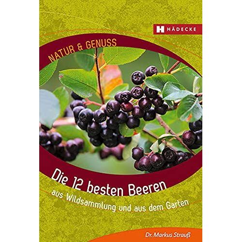 Die 12 Besten Beeren