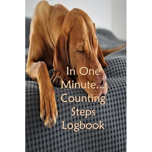 In A Minute...Counting Steps Logbook: Steps Logbook By Sandra Piotrzkowski