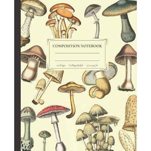 Vintage Composition Notebook: Beautiful Mushroom Vintage Illustration.
