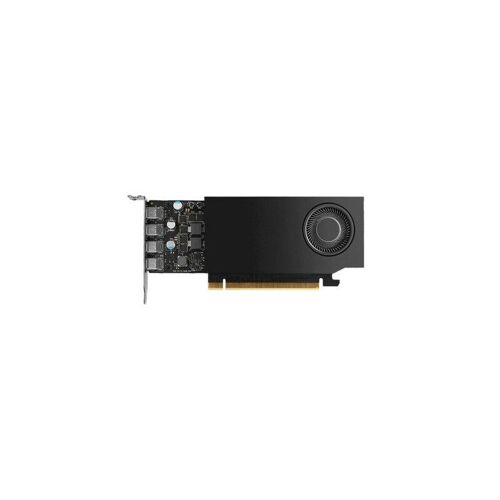 NVIDIA RTX A1000 - Carte graphique - RTX A1000 - 8 Go GDDR6 - PCIe 4.0 x8 profil bas - 4 x Mini DisplayPort