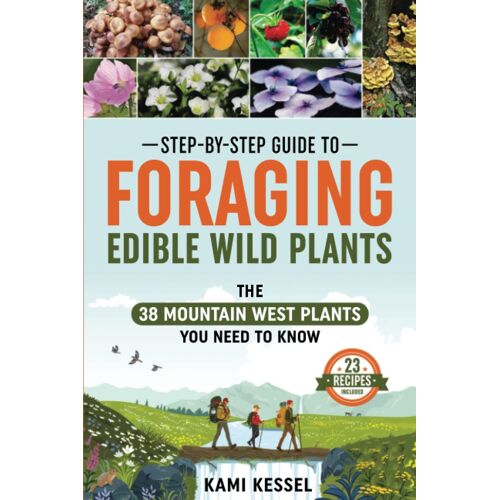 Step-By-Step Guide To Foraging Edible Wild Plants