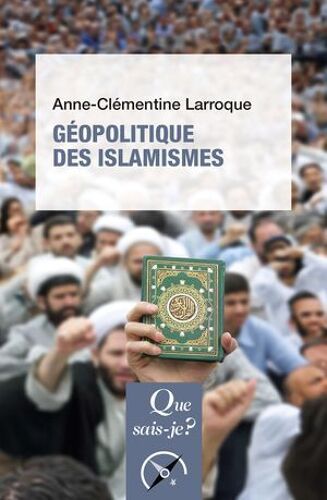 Géopolitique Des Islamismes