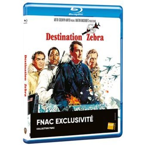 Destination Zebra