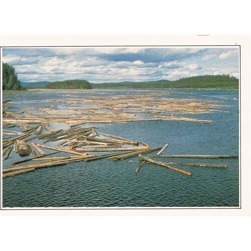 Suède, " Västerbotten, Flottage De Bois À Lycksele ".