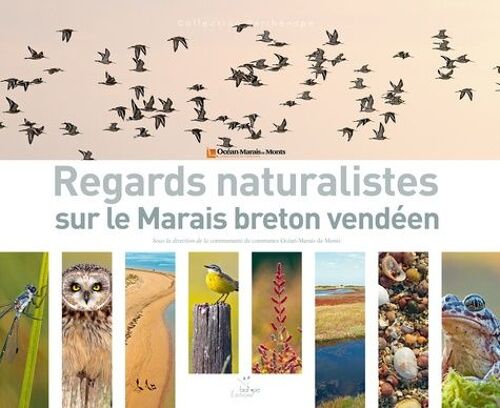 Regards Naturalistes Sur Le Marais Breton Vendéen