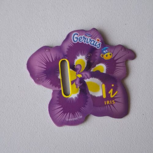 Magnet Série Fruit Légume Pochoir Danone Gervais Alphabet Lettre I Iris