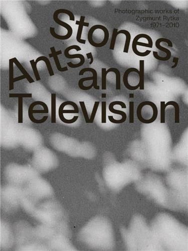 Zygmunt Rytka: Stones, Ants, And Television