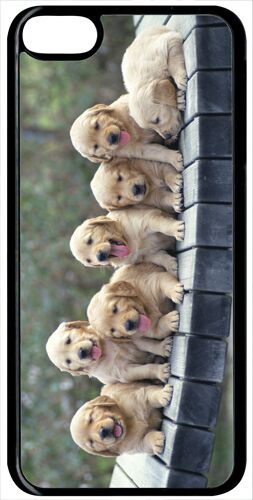 Coque ipod touch 6 - chiots golden retriever - noir