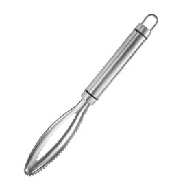 Grattoir À Écailles De Poisson En Acier Inoxydable, Râpe À Gratter Rapide, Nettoyage Du Poisson, Éplucheur, Grattoir, Pince À Os De Poisson, Accessoires De Cuisine, Outil