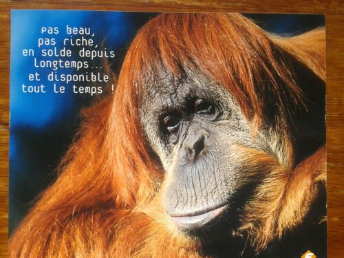 Pas Beau, Pas Riche, En Solde Depuis Longtemps... Et Disponible Tout Le Temps !