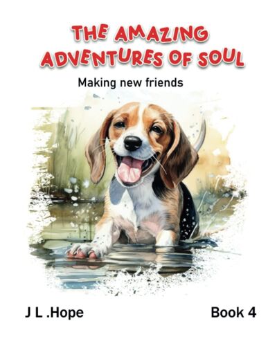 The Amazing Adventures Of Soul: Making New Friends