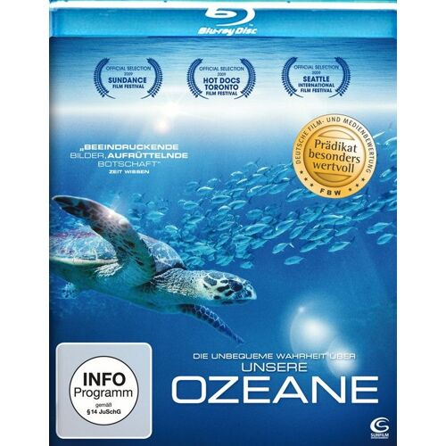 Die Unbequeme Wahrheit Über Unsere Ozeane
