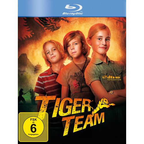 Tiger-Team