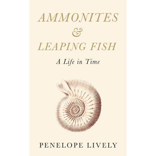 Ammonites And Leaping Fish