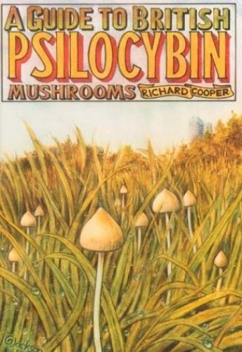 A Guide To British Psilocybin Mushrooms
