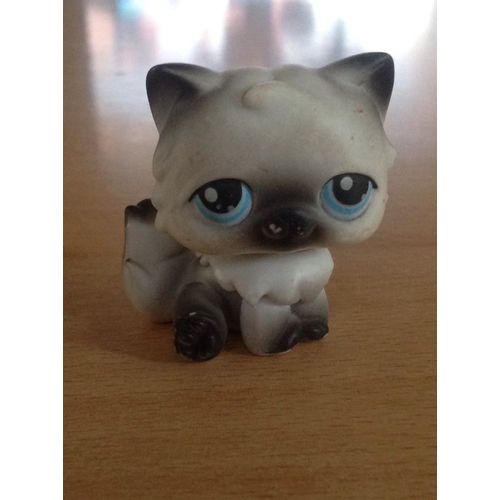 Figurine Petshop Chat 