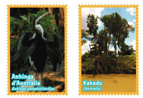 N° 498 - Stickers Image Panini Animaux A La Decouverte Du Monde Animal 2014