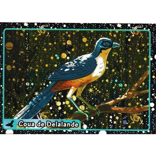 N° 401 - Stickers Image Panini Animaux A La Decouverte Du Monde Animal 2014