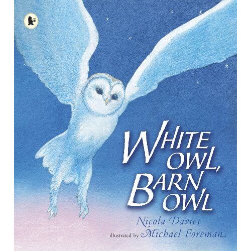 Davies, N: White Owl, Barn Owl