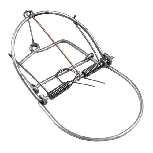 Grand Piège À Souris, 1 Pièce, Piège À Souris, Piège À Ressort, Cage À Rongeur, Répulsif À Taupe, Piège À Rat