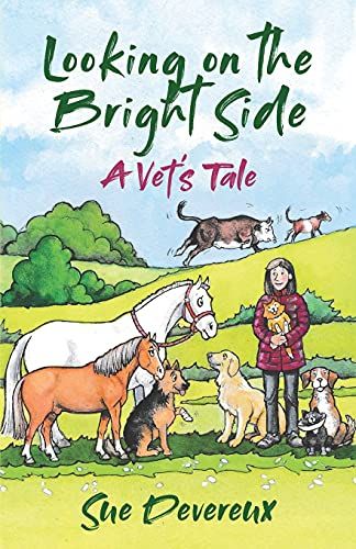 Looking On The Bright Side: A Vet's Tale