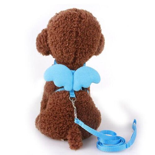 Laisse Pour Animaux De Compagnie, Petit Ange, Sangle De Poitrine, Ensemble D'ailes, Harnais Pour Chien, Chien À Lait, Petit Chien, Corde Pour Mini Chiens, Chiot, Fournitures En Peluche