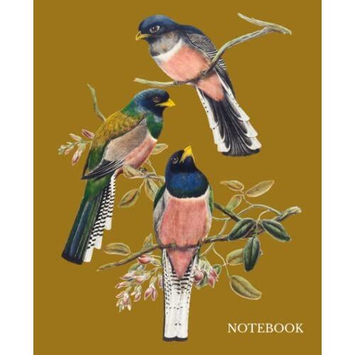 Vintage Birds College Ruled Composition Notebook: Birds Composition Book, Composition Notebook Bird, Birdwatching Notebook 200 7.5x9.25 College Ruled ... Birds Composition Notebook College Ruled