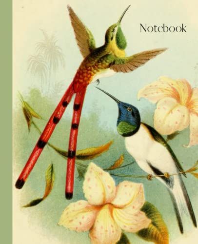 Beautiful Vintage Illustrated Phaon Comet And Hillstar Hummingbird Notebook, Journal Or Diary