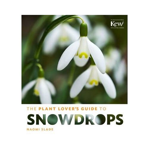 The Plant Lover's Guide To Snowdrops
