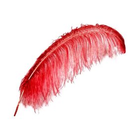 Plumes D'autruche Pour Artisanat 30-35cm, 10 Pièces/Lot, Décoration De Scène De Fête De Mariage, Fournitures D'accessoires De Performance De Carnaval