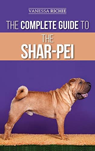 The Complete Guide To The Shar-Pei