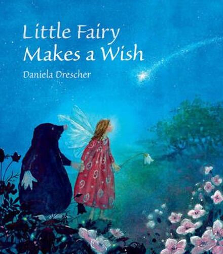 Little Fairy Makes A Wish