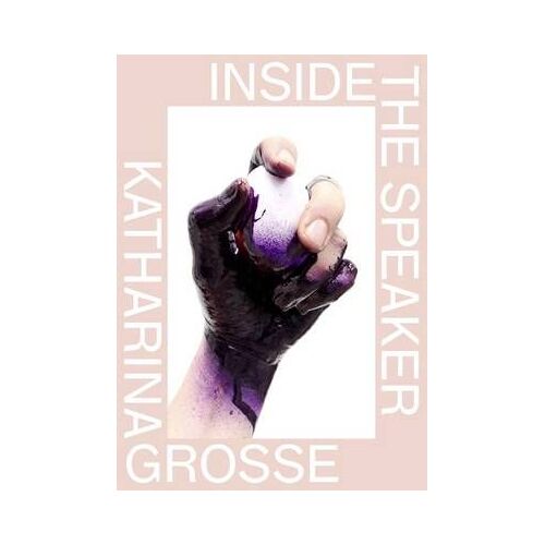 Katharina Grosse. Inside The Speaker