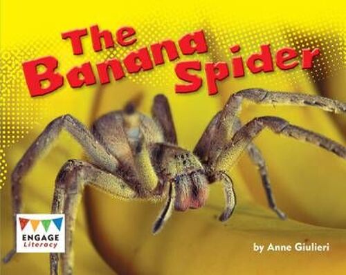 Giulieri, A: The Banana Spider