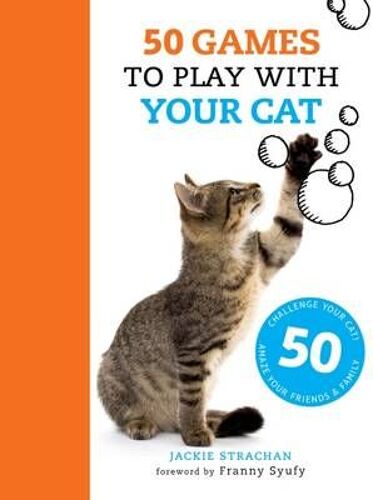 50 Games To Play With Your Cat