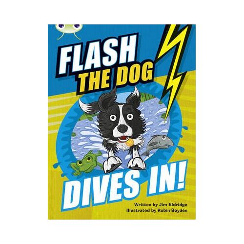Bug Club Independent Fiction Year 3 Brown B Flash The Dog Dives In!