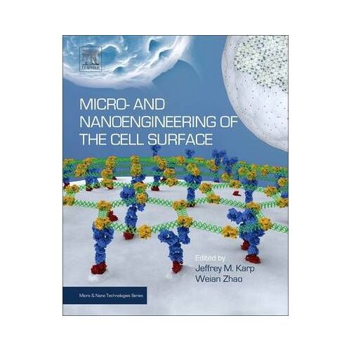 Micro- And Nanoengineering Of The Cell Surface