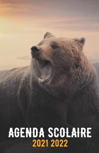 Agenda Scolaire 2021 2022: Joli Planificateur Journalier 1 Jour Par Page | Organiseur Scolaire 11 Mois (Septembre 2021 / Juillet 2022) Pour Étudiants Collège, Lycée | A5 |